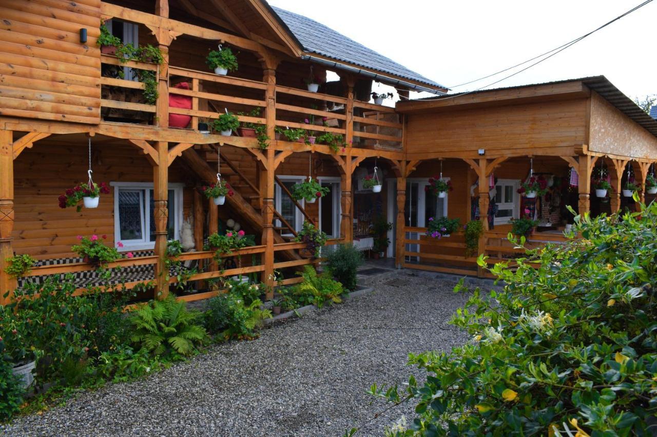 Hotel Casa Vladicu à Breb Extérieur photo