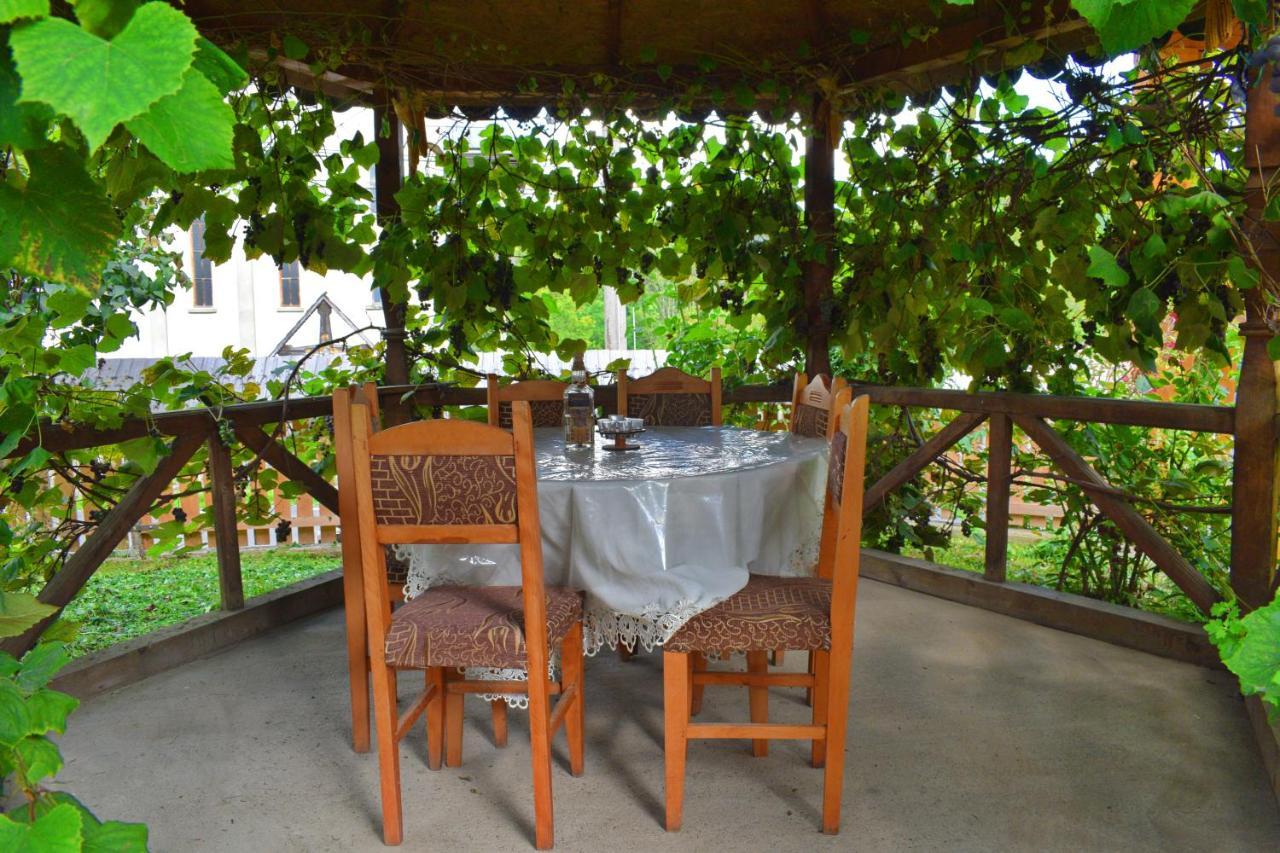 Hotel Casa Vladicu à Breb Extérieur photo