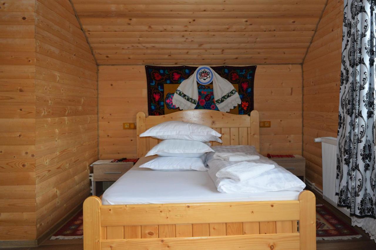 Hotel Casa Vladicu à Breb Extérieur photo