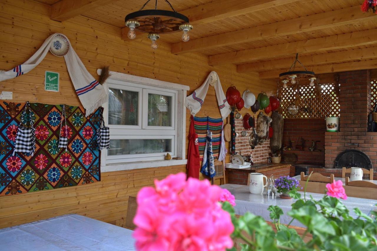 Hotel Casa Vladicu à Breb Extérieur photo