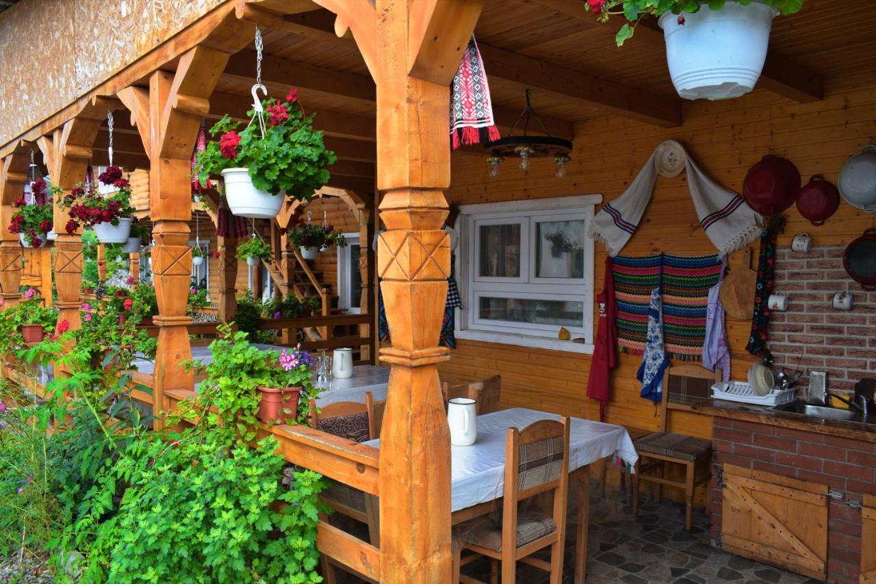 Hotel Casa Vladicu à Breb Extérieur photo