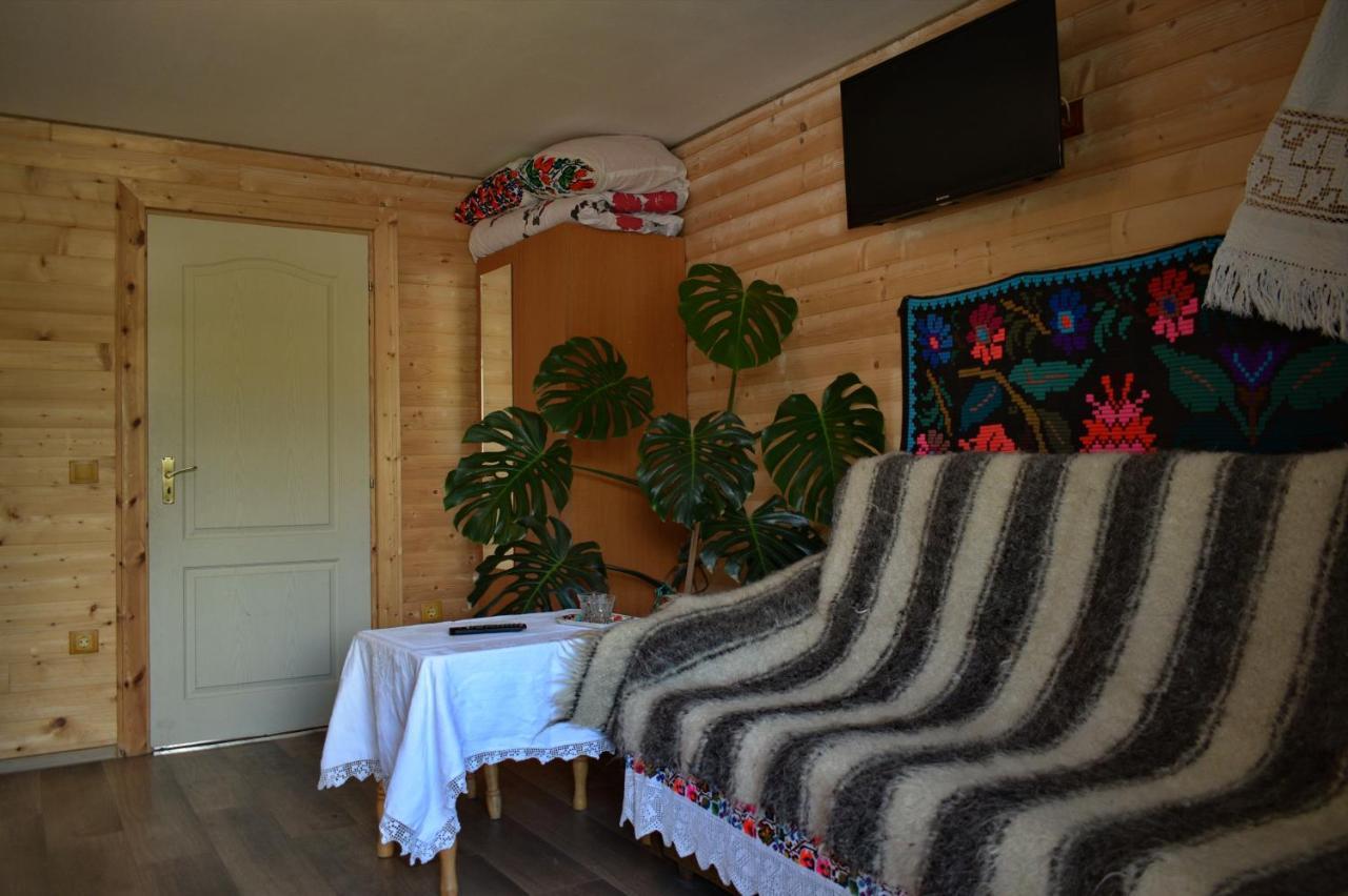 Hotel Casa Vladicu à Breb Extérieur photo