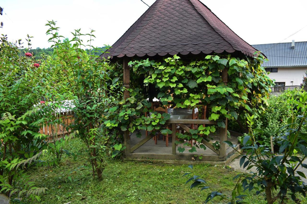 Hotel Casa Vladicu à Breb Extérieur photo